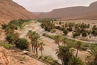 merzouga berkane